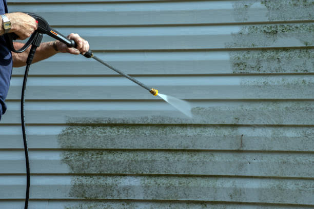 Best Dumpster Area Cleaning  in Dalton, PA